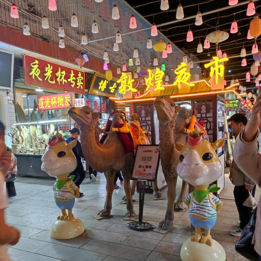 走走看看