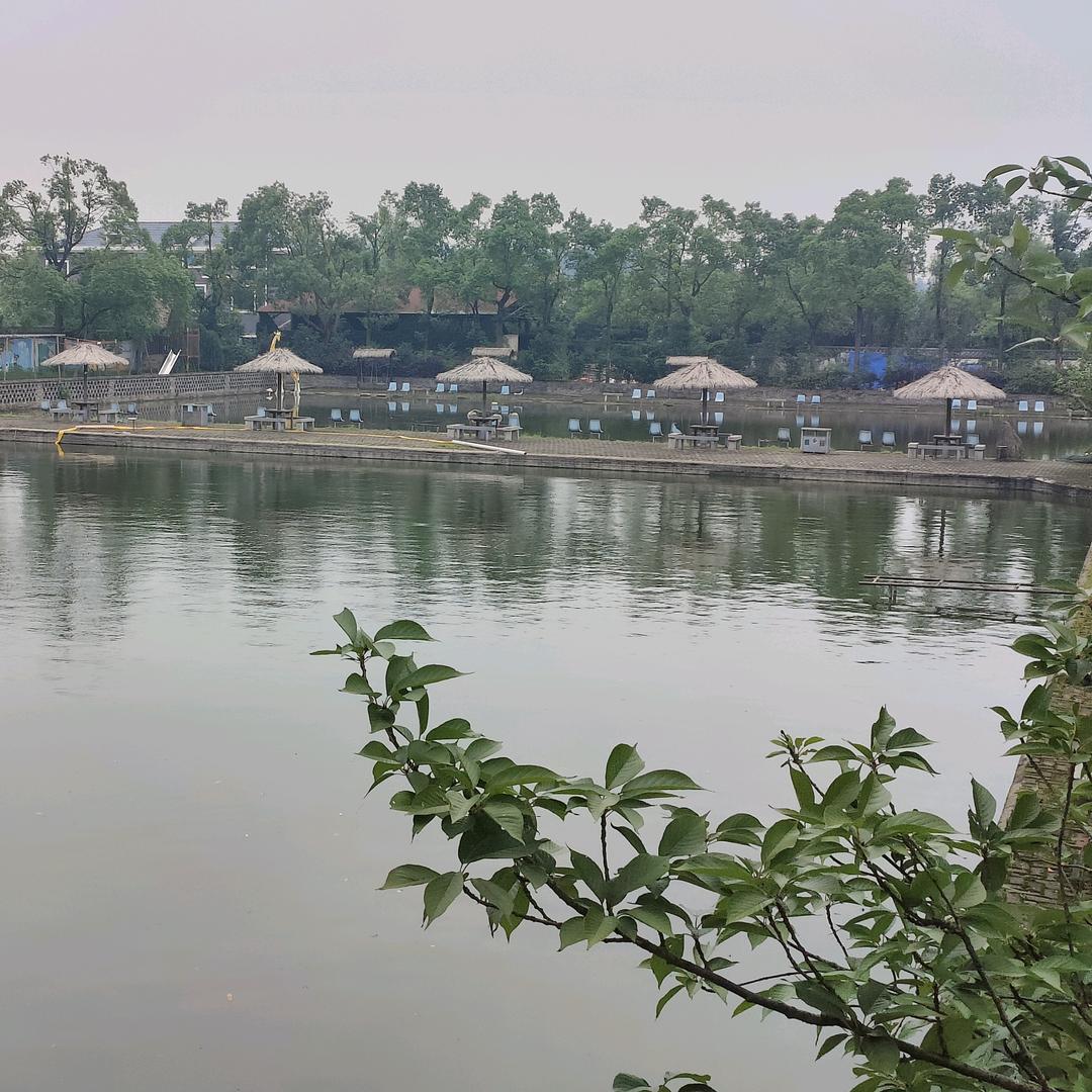 君自岳州来