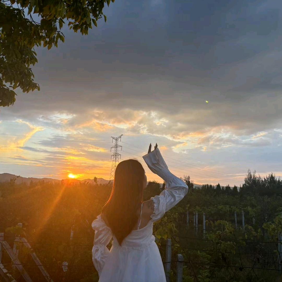 扶摇（3921）小号