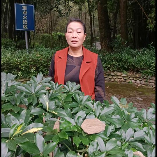 涵涵奶奶