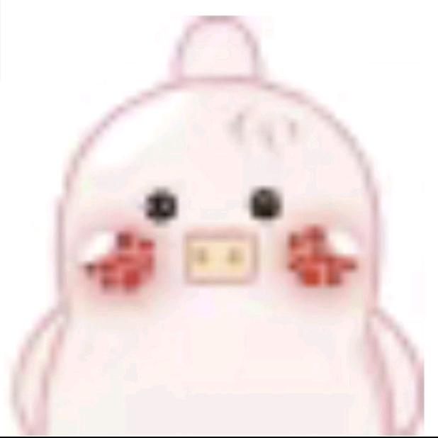 貓小猪