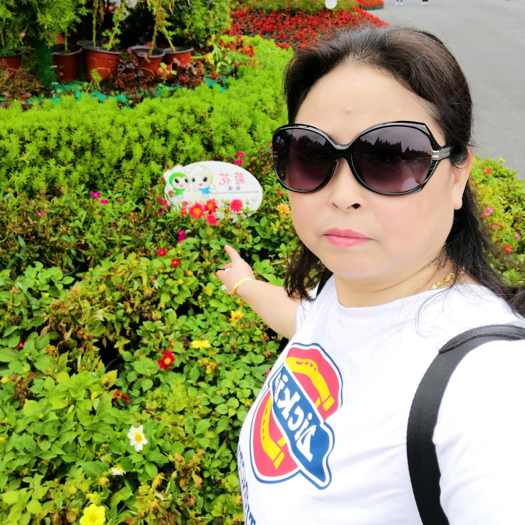 萍聚71🐷🌹☕️