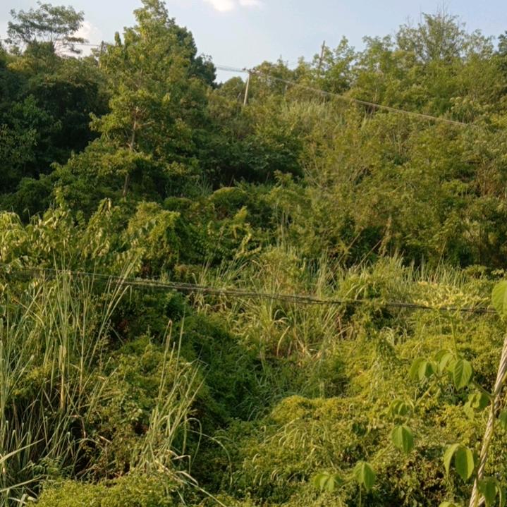 ʕ ᵔᴥᵔ ʔ酒易醉💔心易碎˃ʍ˂