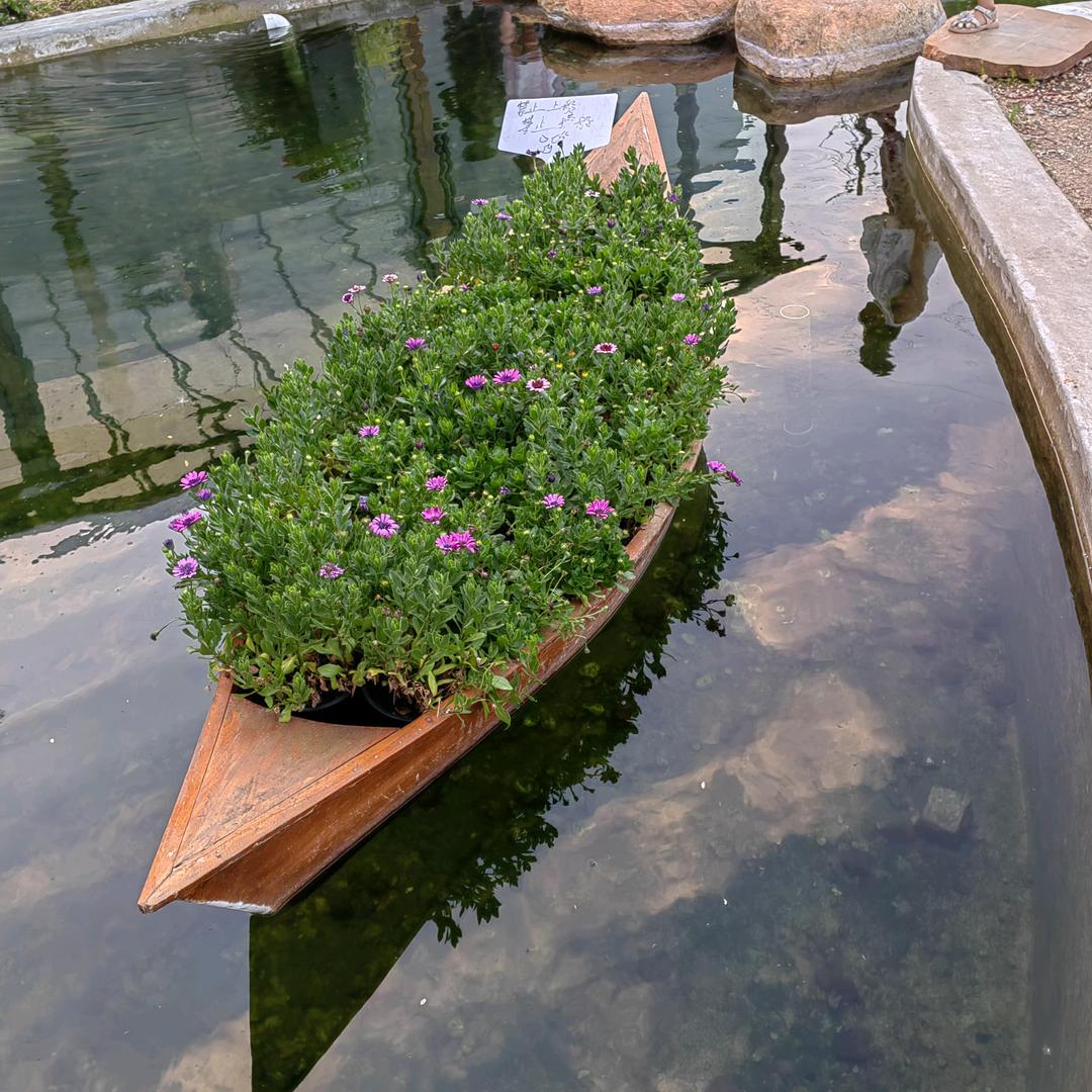 蚌埠回收旧衣服