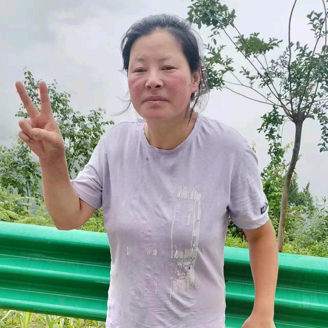 从没放弃（星期二的晚上20.8分开播