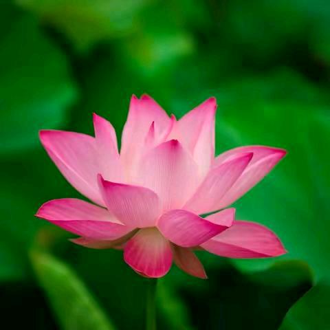 少敏👑¹⁶⁸⁸