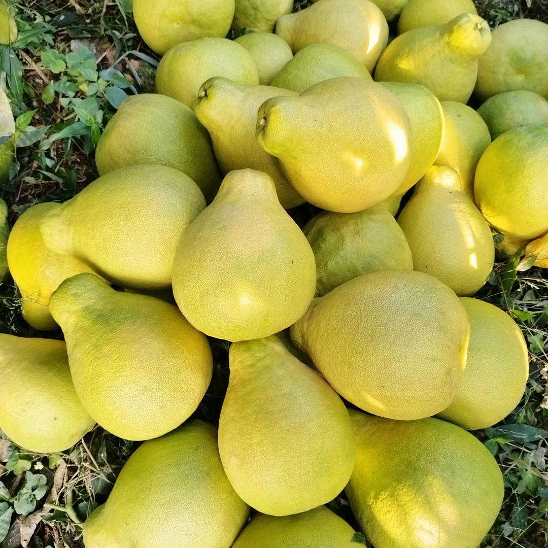 晓妹