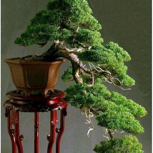 珍惜眼前人