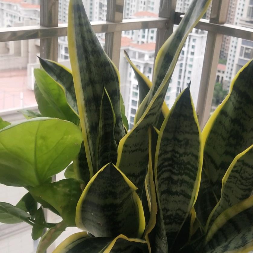 秘密