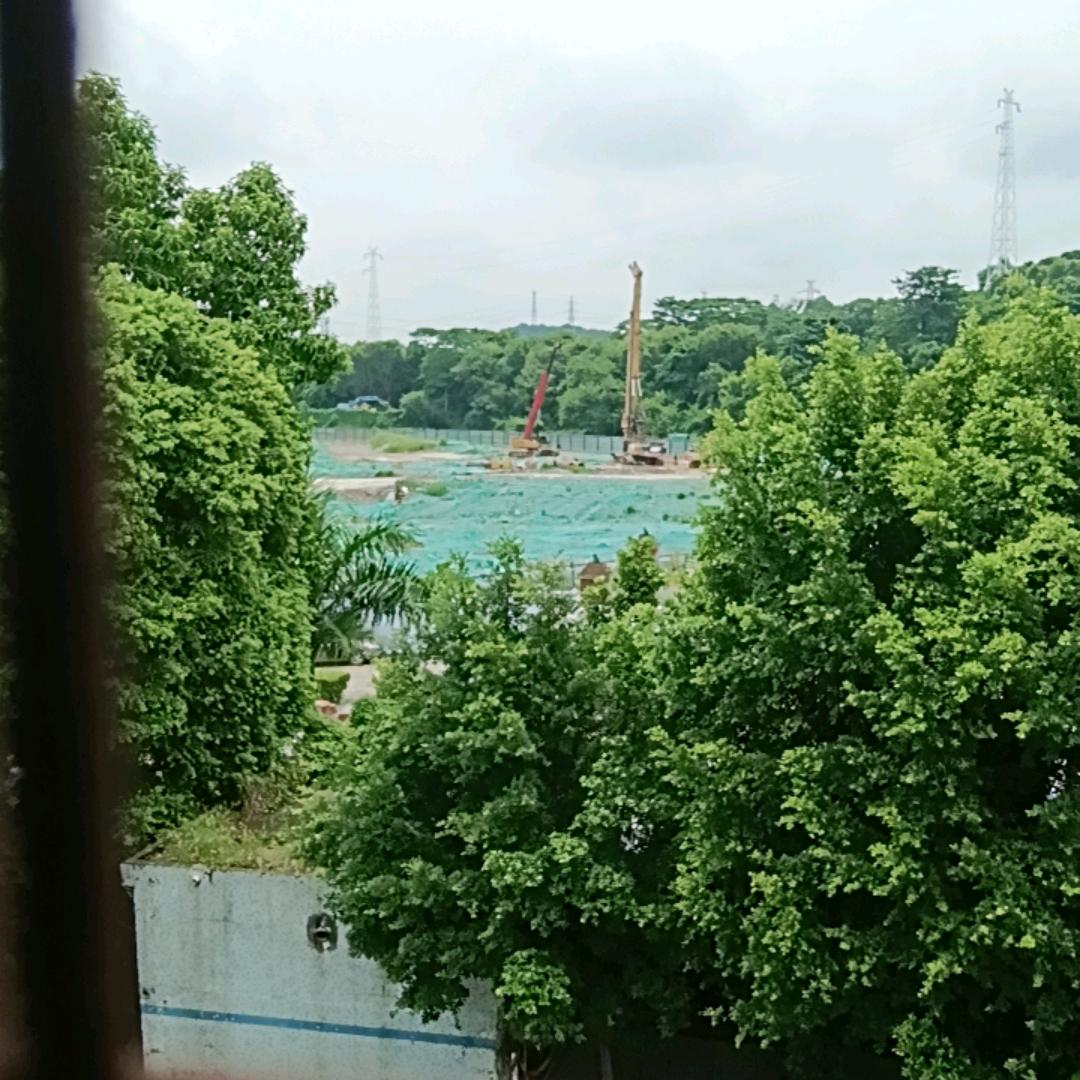 乡下仔