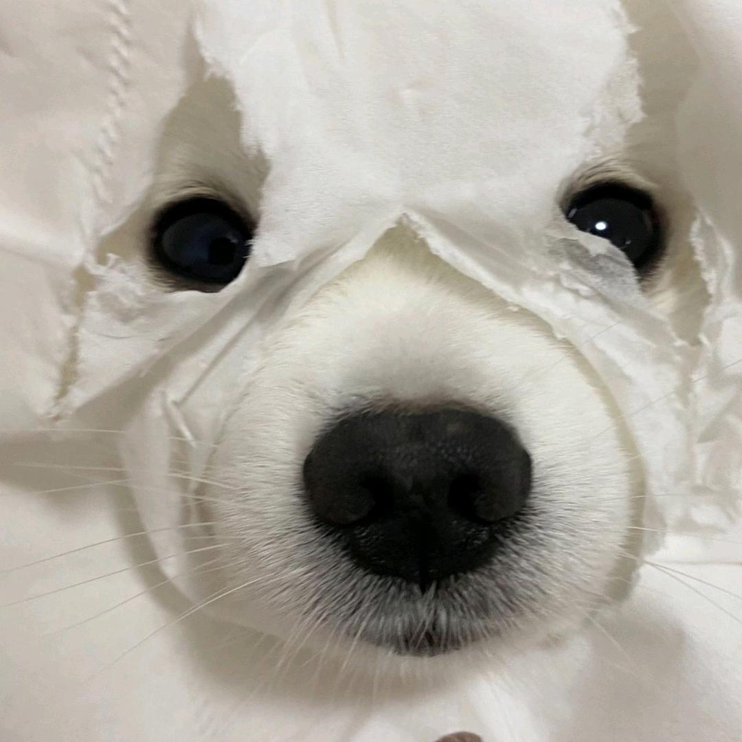 36%