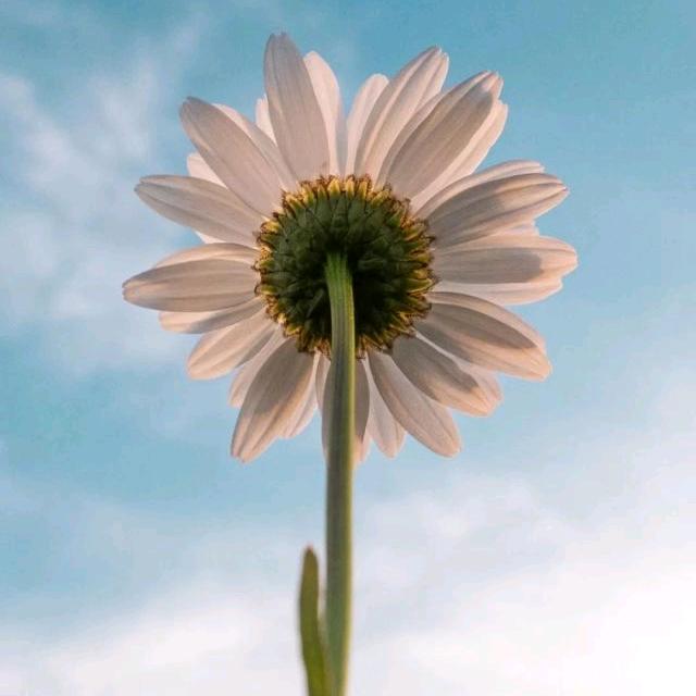 家🈶(油)宝贝💗💗