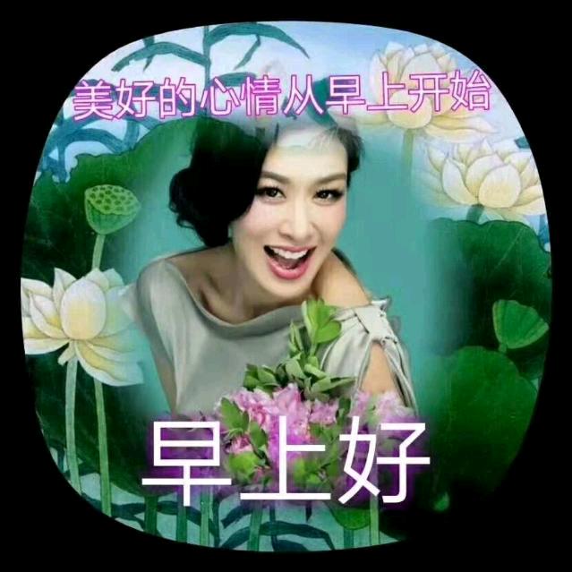早上好