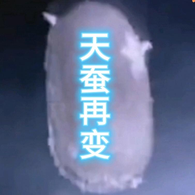 与神同行