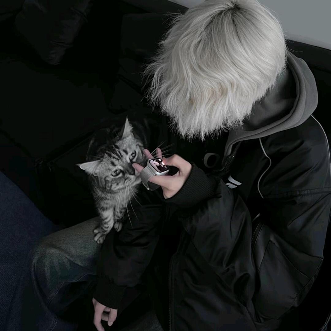 星辰（三角洲行动）