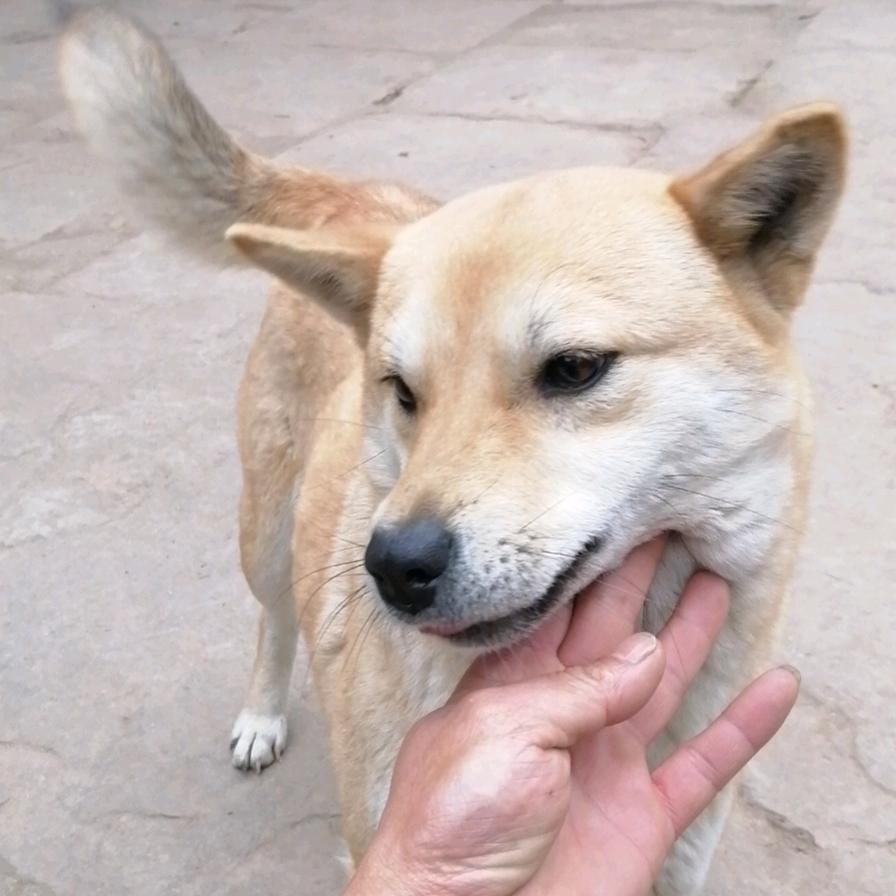 人生百态