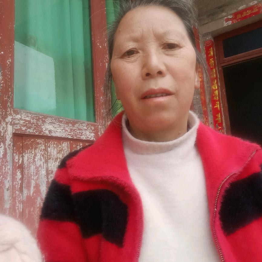杨燕姐早上8：20直播