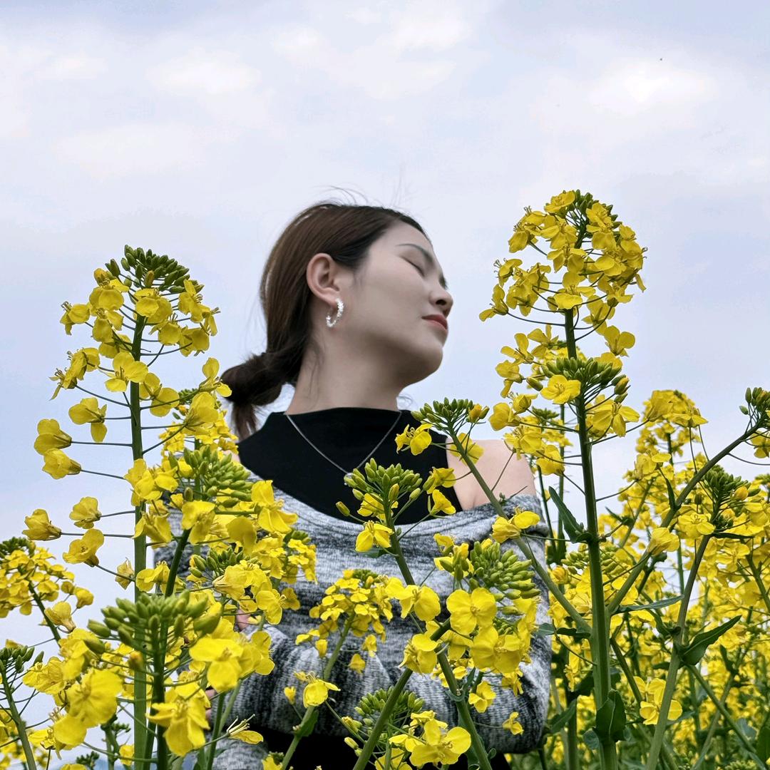 💘我是小燕子吖