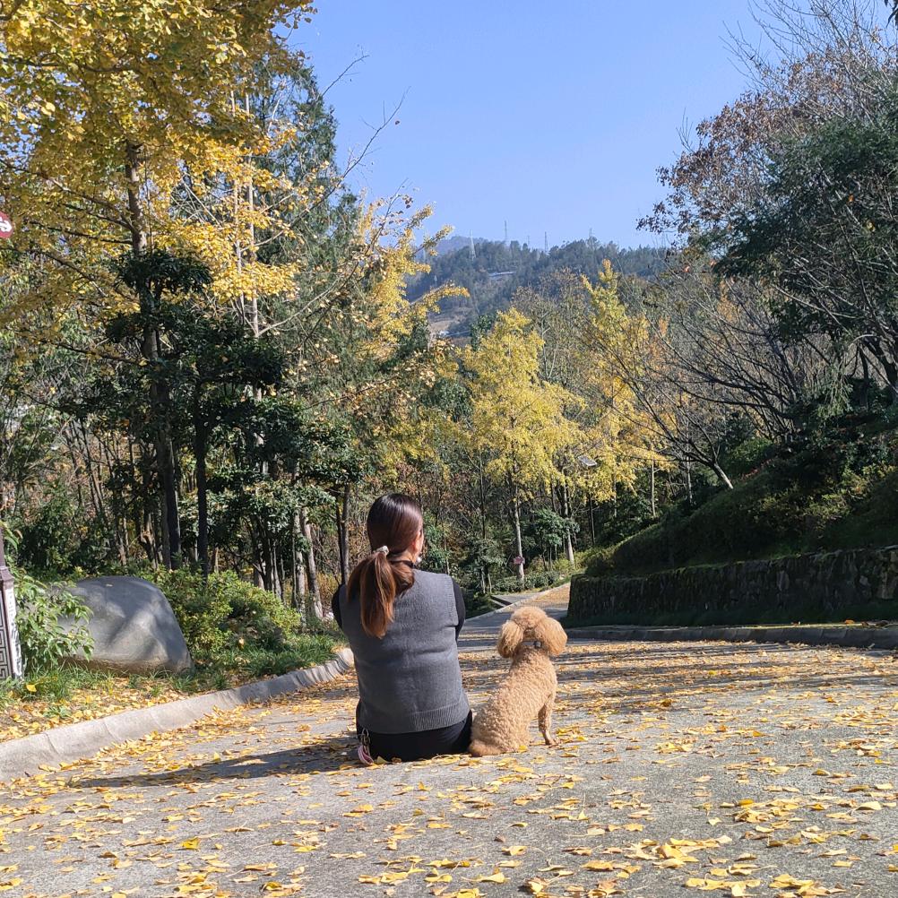 野火烧过的春天