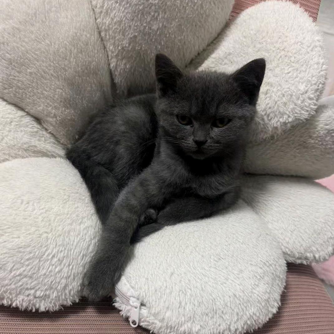 征途慢慢，惟有奋斗。