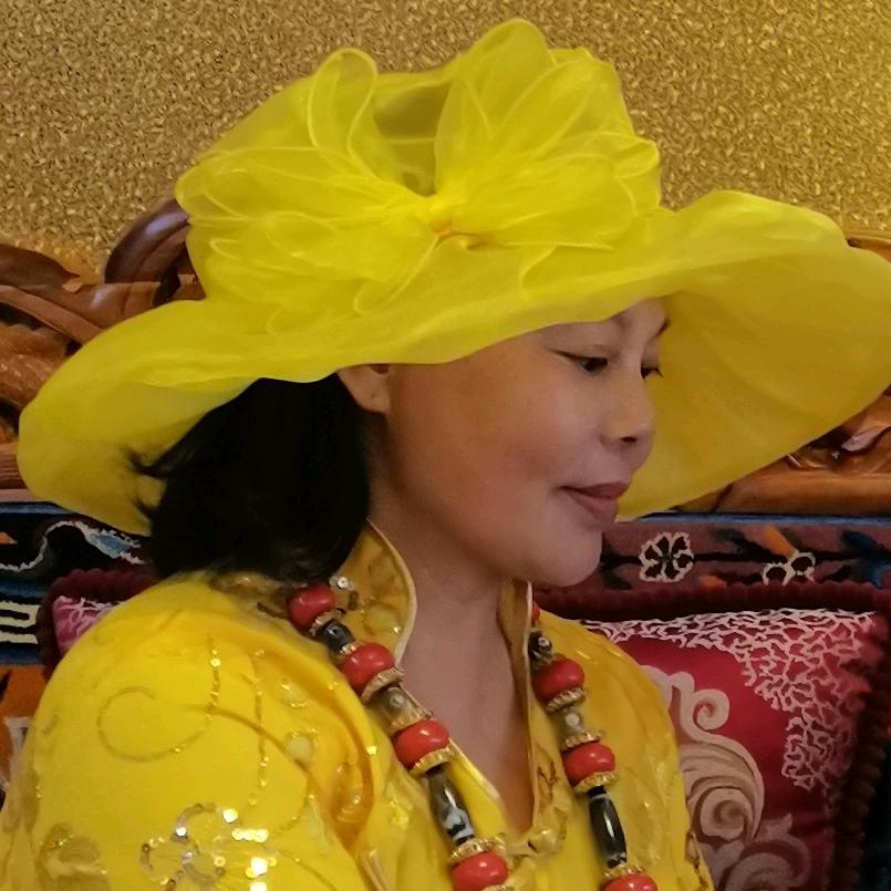 成都杨姐姐