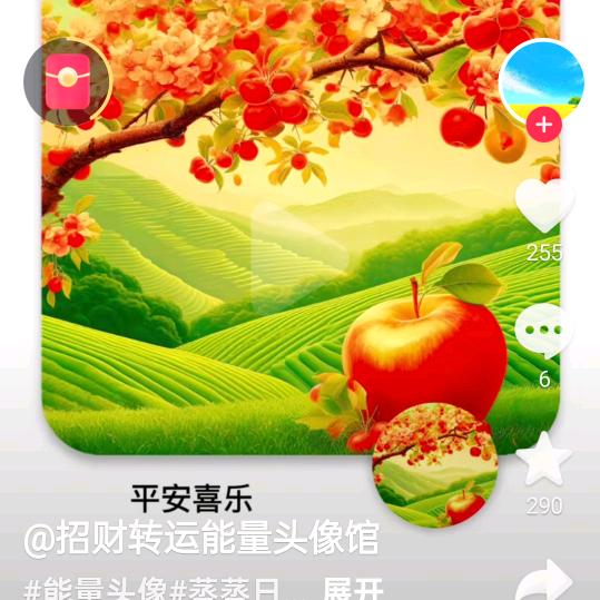 梅花YM