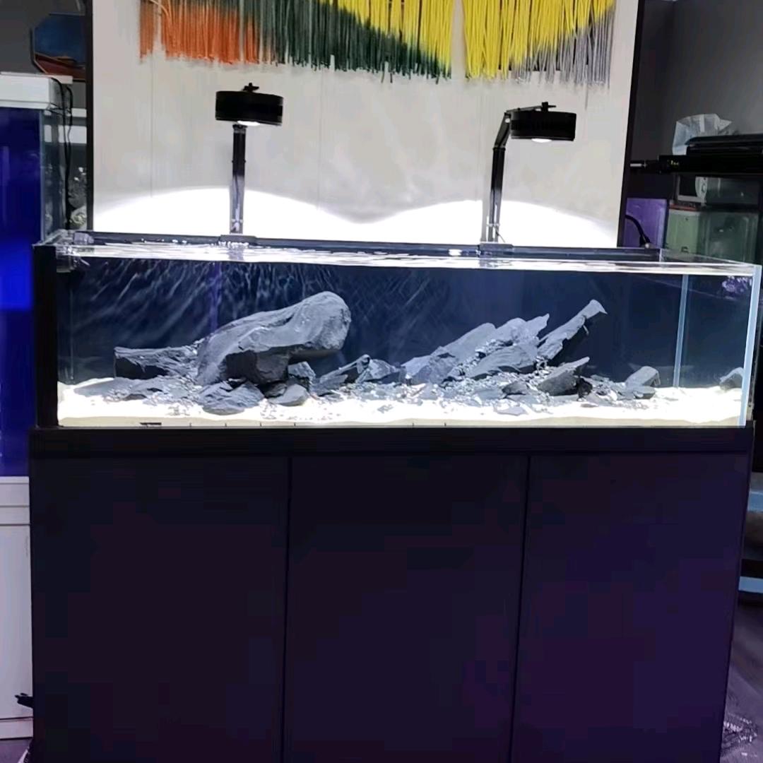 金汇水族鱼缸工厂店