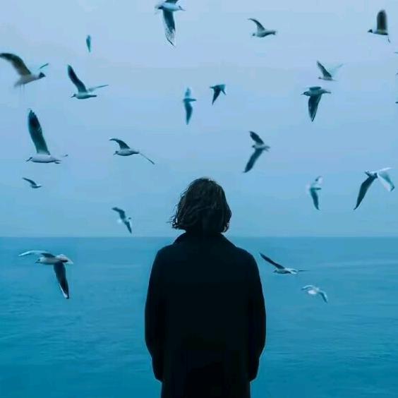 陌浮生