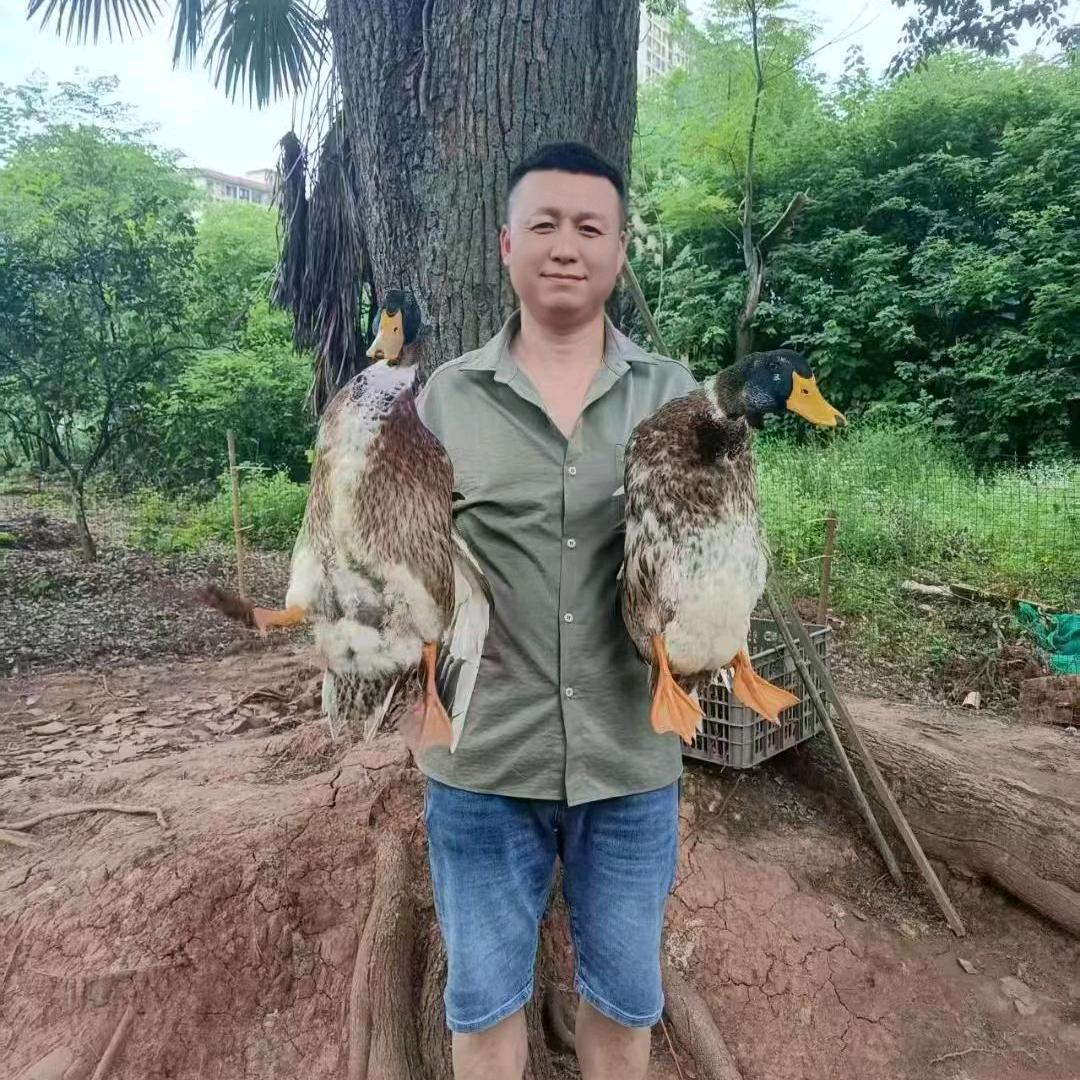 @攸县李氏血鸭