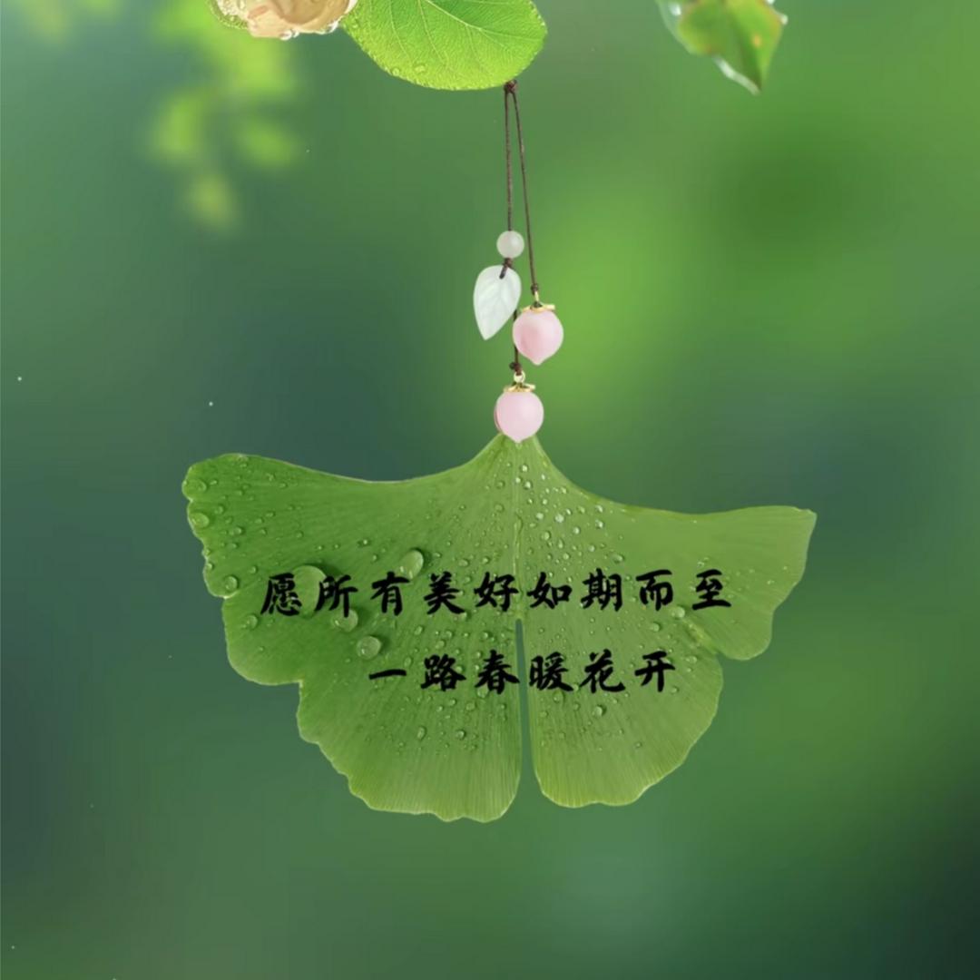 衣恋改衣(羽绒服翻新订制)
