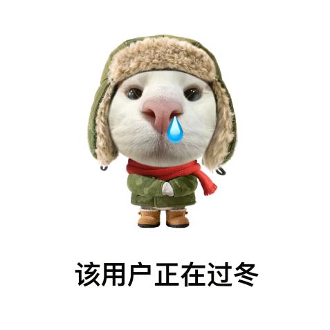 野良猫¹