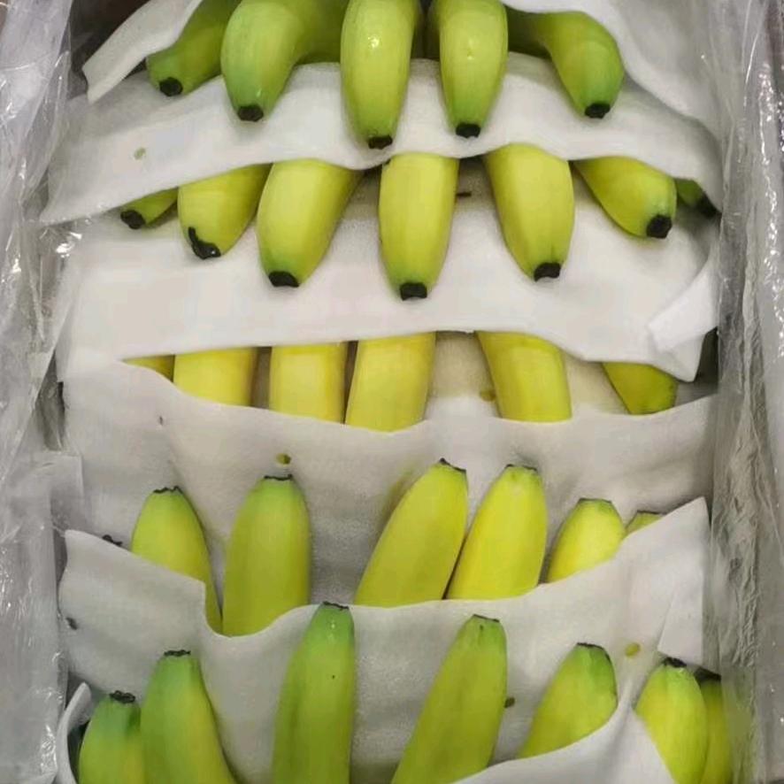 桂林众涵 李