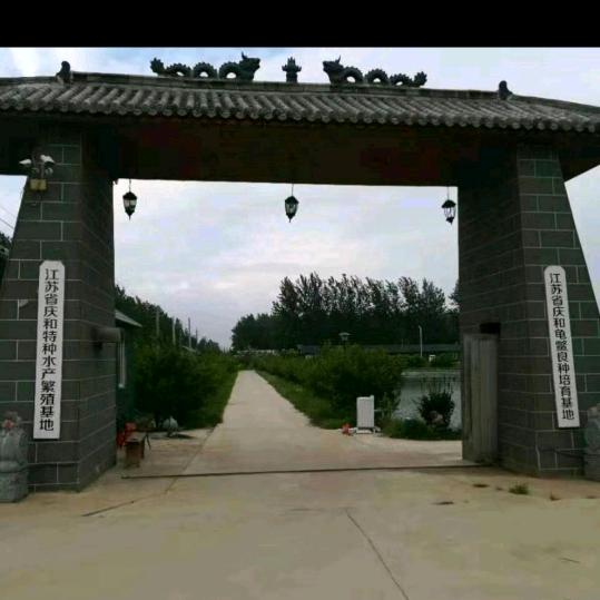 沭阳县庆和良种水产培育中心