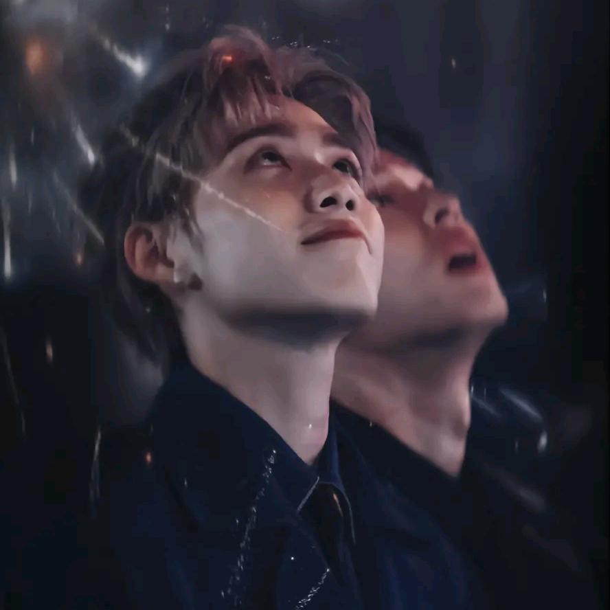 ✨扁桃体永不发言