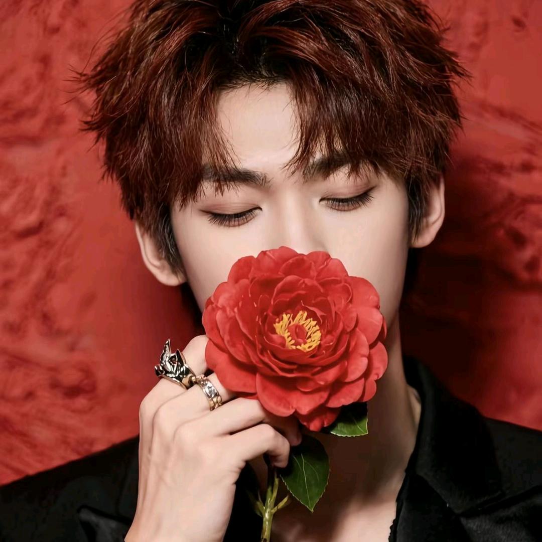 番茄不炒蛋不加糖🌽🍃.