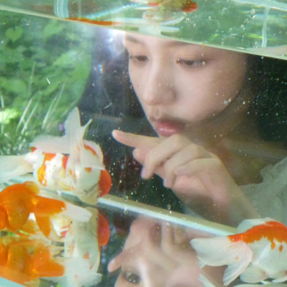 巧克力脑袋