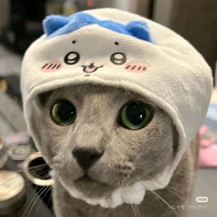 小Y