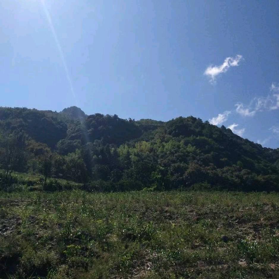 开着拖拉机进城