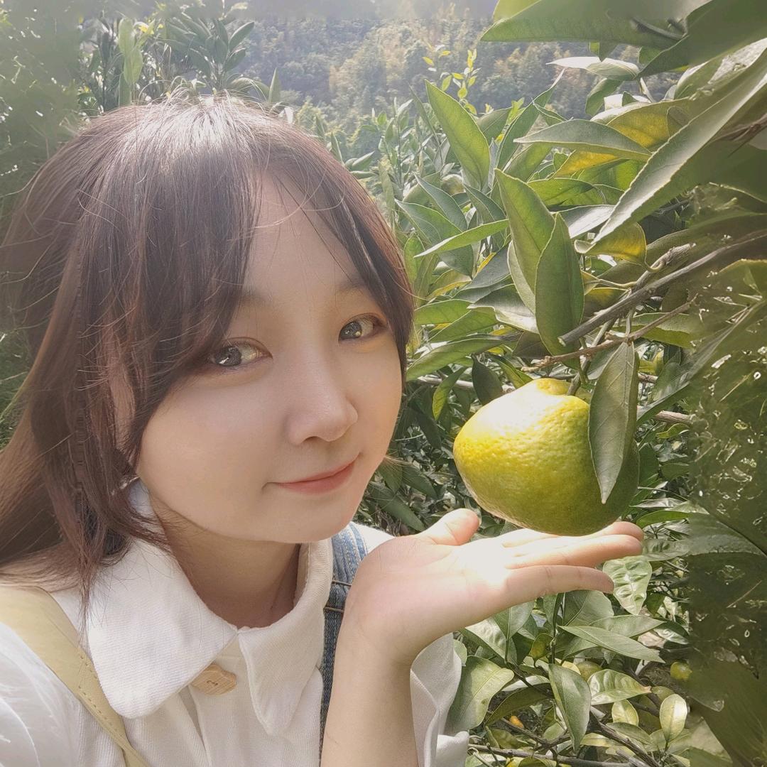 杨圆圆