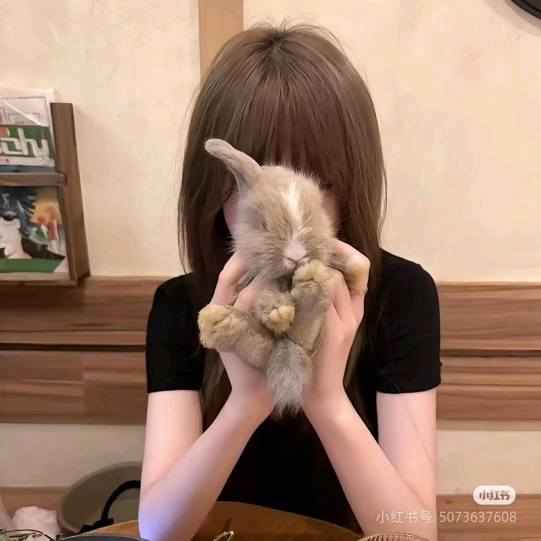 打牌就打十三幺