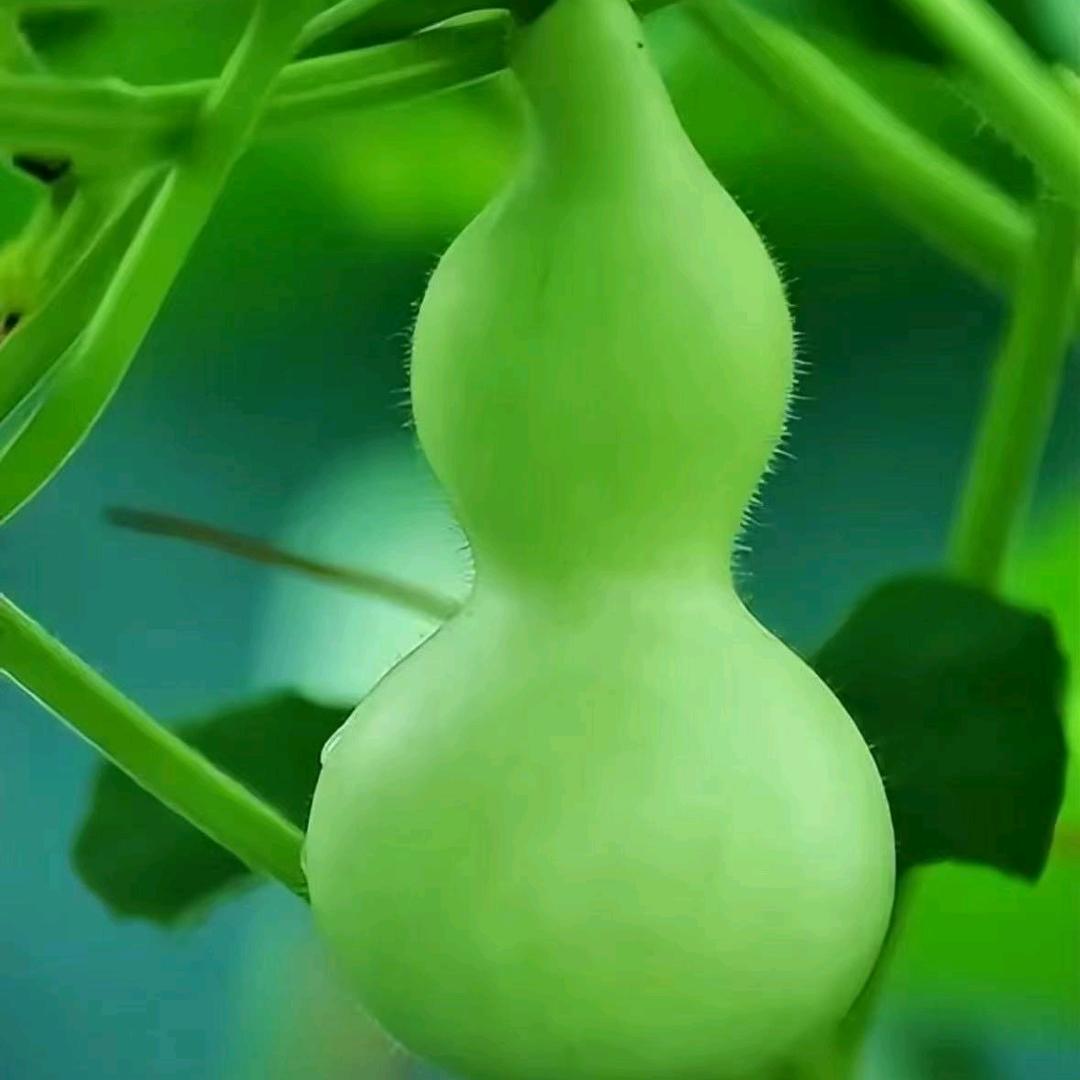 隐溪～