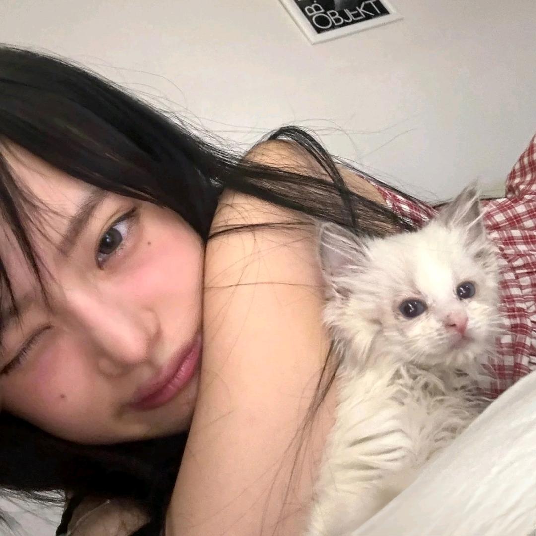 💤-每天都好困^