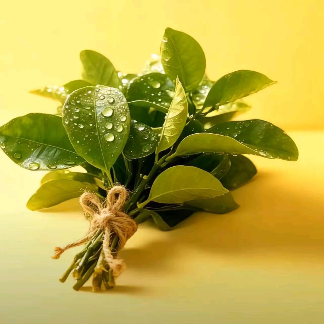 小张小张________不慌张