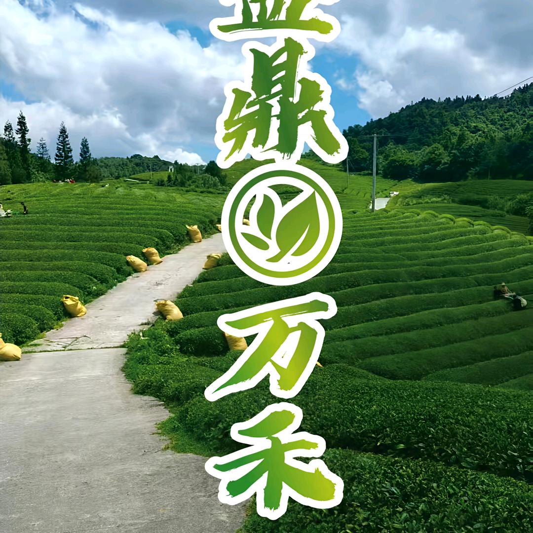 烟酒伪伴