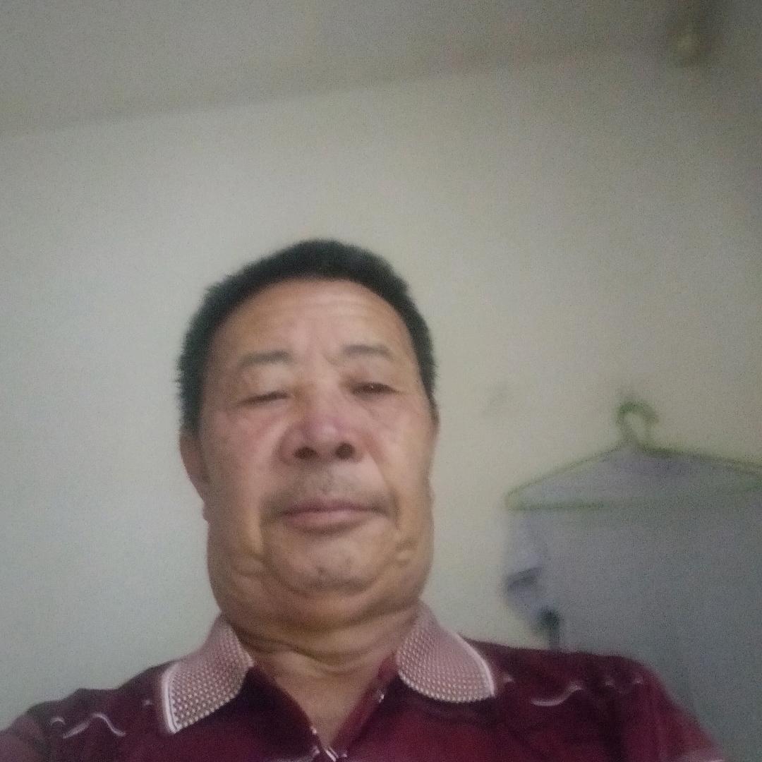 不老松