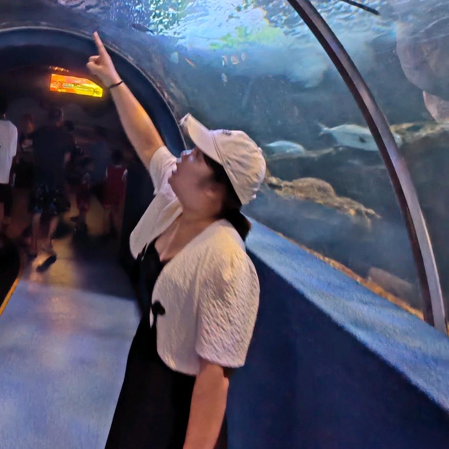 浅浅推荐