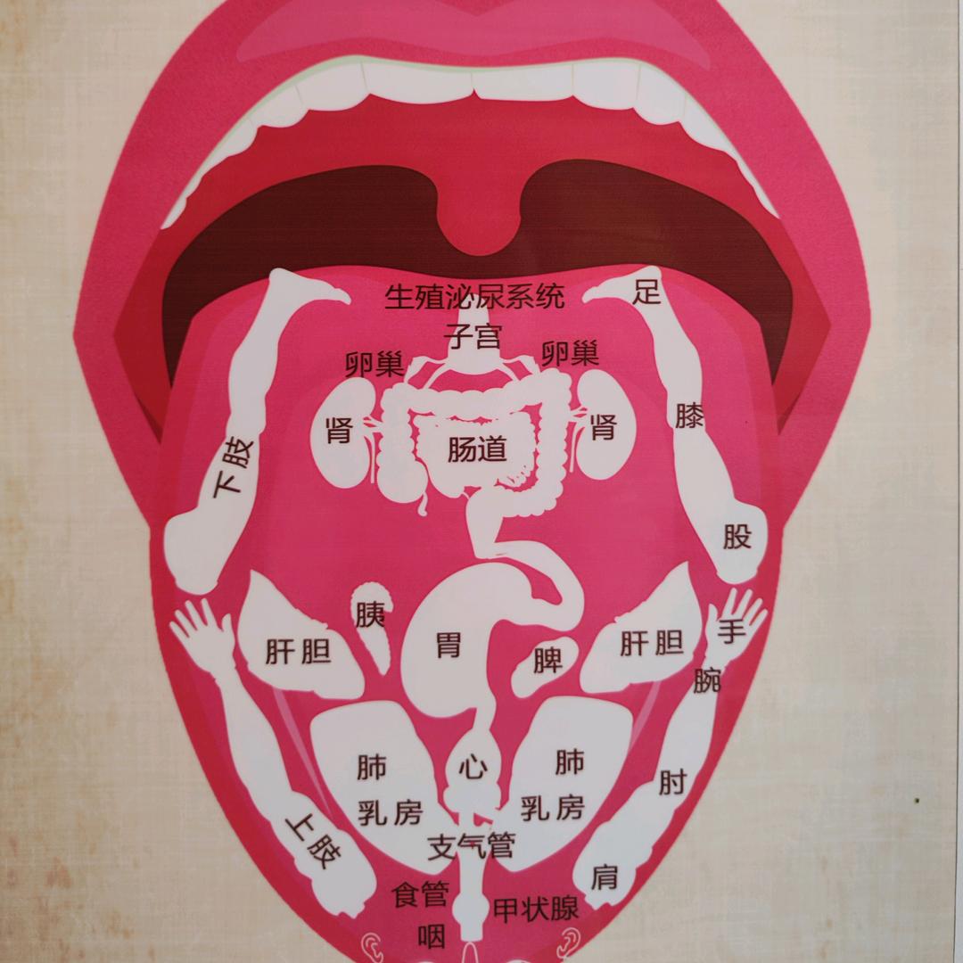 邻游阿泰龙
