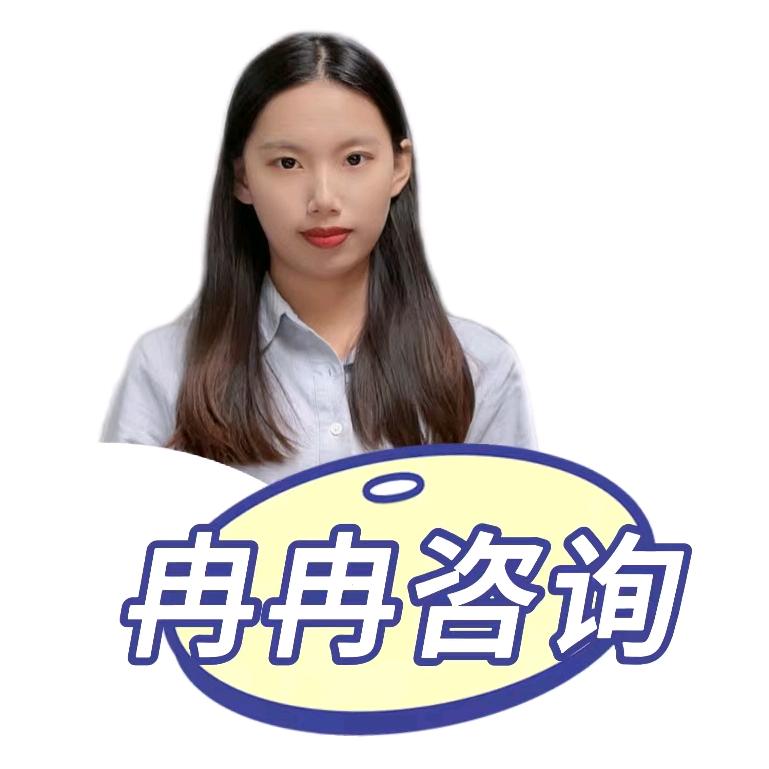 冉冉咨询—可行性研究报告编写