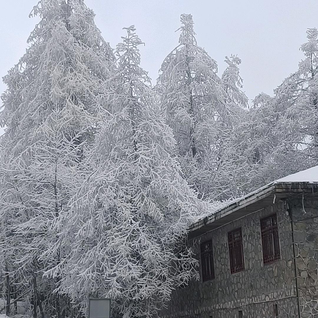 糊涂