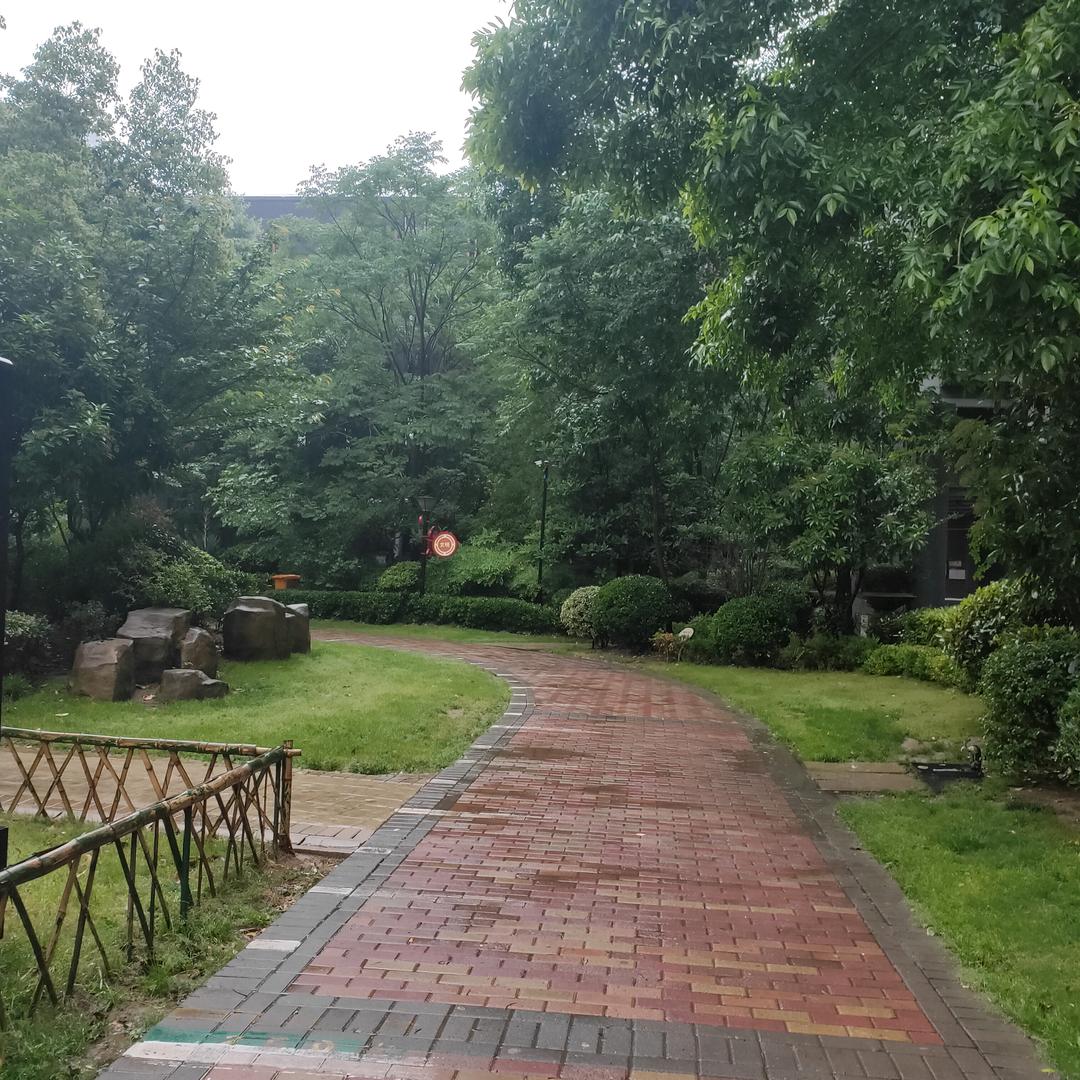 未来可期，